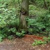07 Aktion Juli - Freizeit 23